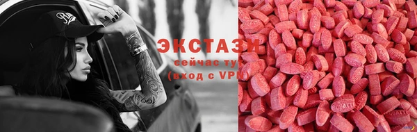 индика Аркадак