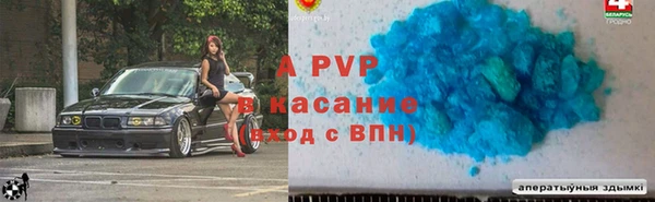индика Аркадак