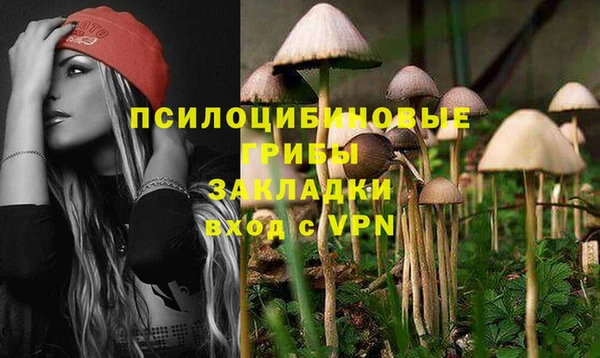 индика Аркадак
