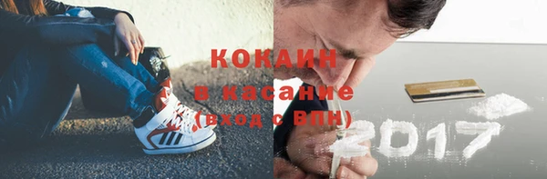 индика Аркадак