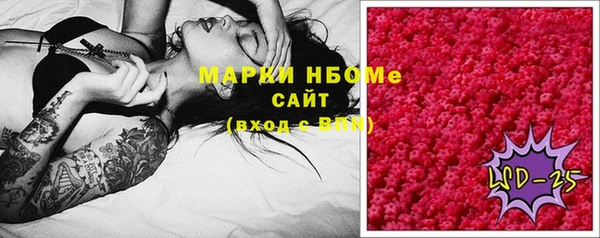 индика Аркадак