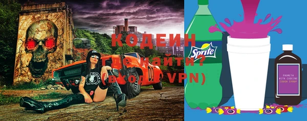 индика Аркадак