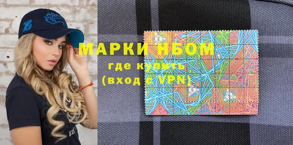 индика Аркадак