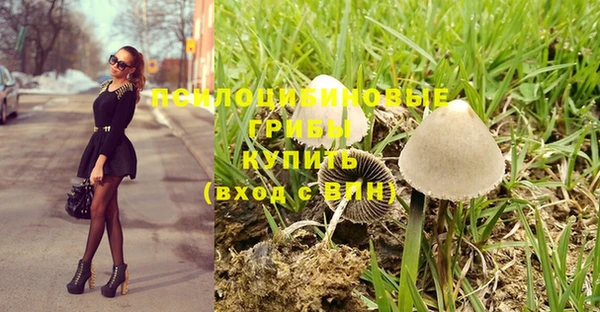 индика Аркадак
