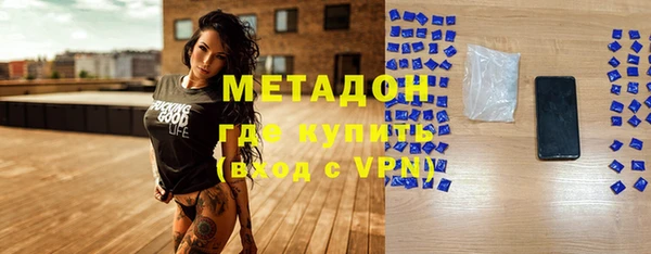 индика Аркадак
